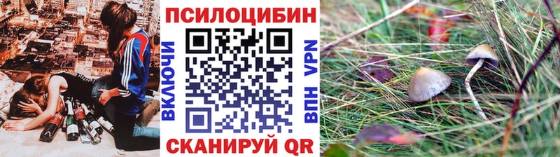 Галлюциногенные грибы мицелий  Купить закладки  Светлый 